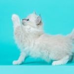 Come Lavare Il Tappetino Di Yoga Scopri come pulire efficacemente il tuo tappetino di yoga con questi semplici consigli