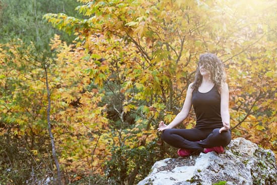 Yoga E Gestione Dello Stress 1 yoga 1989