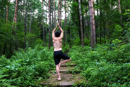 Quando Nasce Lo Yoga 19 Quando nasce lo Yoga: un viaggio alla scoperta dell'origine di questa millenaria pratica di meditazione e benessere