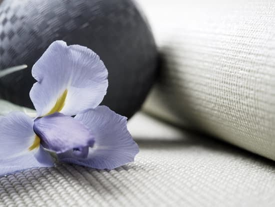 Come Diventare Insegnante Di Yoga Csen 11 Scopri i requisiti per diventare insegnante di yoga CSEN e avvia la tua formazione