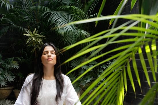 Diventa un insegnante di yoga Iyengar - corsi di formazione disponibili ora