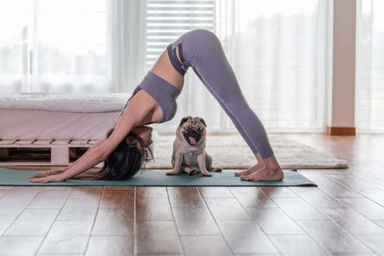 Come Debe Essere L Ambiente Per Attivota Di Yoga 1 Creare uno spazio tranquillo e armonioso per attività di yoga