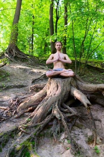 Che Cos E' Hatha Yoga 1 Scopri cosa è Hatha Yoga e i suoi benefici per il benessere fisico e mentale