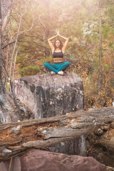Come Insegnare Lo Yoga Al Cane 11 Guida pratica su come insegnare lo yoga al cane: consigli utili e posizioni adatte