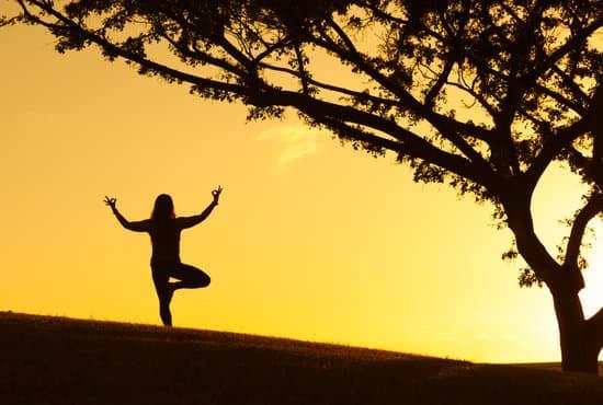 Scoprire il nord durante la pratica yoga: consigli per l'orientamento verso la direzione desiderata