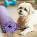 Scopri come fare il grip perfetto sul nuovo tappetino yoga