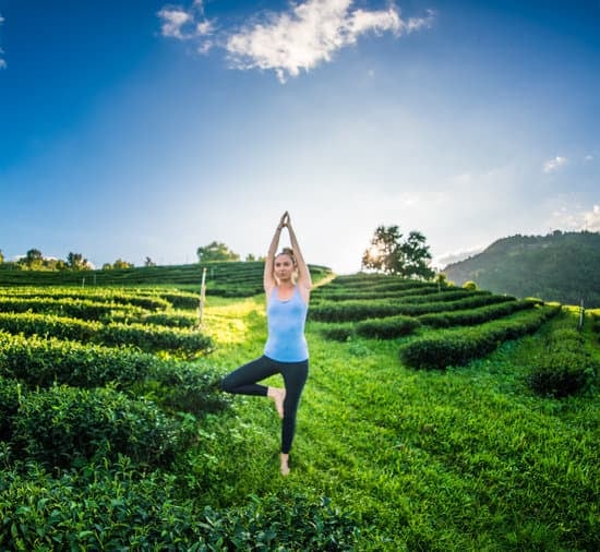 Scopri il potere interiore di uno Yogi attraverso la meditazione guidata e lo yoga dinamico
