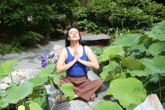 Quale Posizione Yoga Per Accelerare 1 Ardha Matsyendrasana