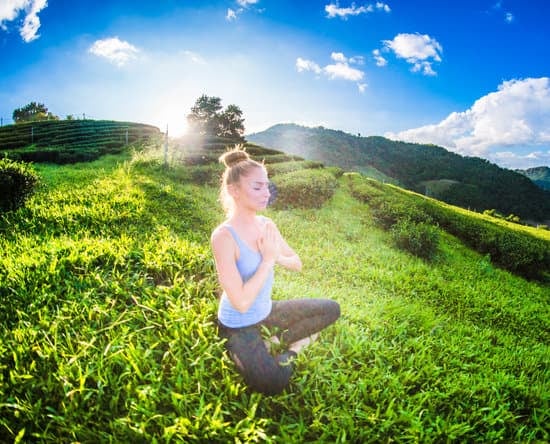 Scopri il significato di Yoga Integrale e approfondisci la tua pratica