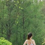 Per Gli Yogi E' Vietata La Carne PER GLI YOGI E' VIETATA LA CARNE