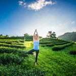 Quanti Anni Vivono Gli Yogi segreti per una lunga vita