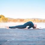 Quante Posizioni Di Animali Ci Sono Nello Yoga quante posizioni di animali ci sono nello yoga