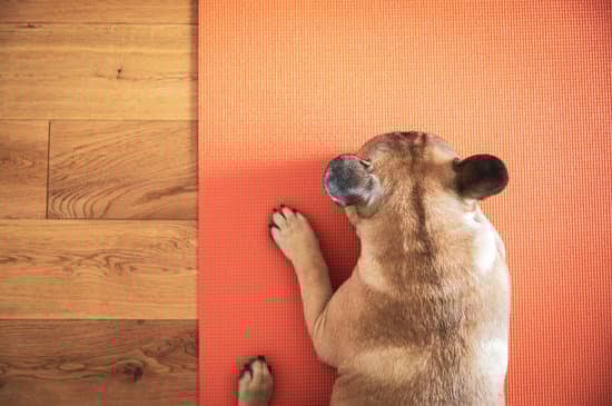 Consigliamo di mantenere ogni posizione di yoga almeno per cinque respiri profondi