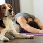 Quante Volte Al Giorno Posso Fare Yoga Scopri quante volte al giorno puoi fare yoga per massimizzare i benefici