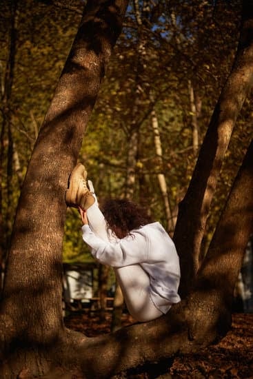 Chakra Yoga Italiano 1 equilibrio energetico e armonia interiore attraverso le energie dei nostri centri energetici