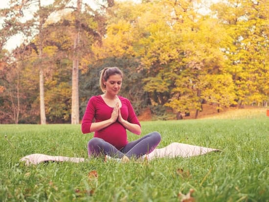 Foto Orsacchiotto Yoga 1 Pratica yoga con un simpatico orsacchiotto nelle varie posizioni, scopri la magia delle foto orsacchiotto yoga
