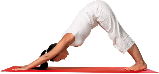 Comprare CBD Per Yoga 1 Scopri i migliori oli CBD per yoga e acquista online per un benessere completo.