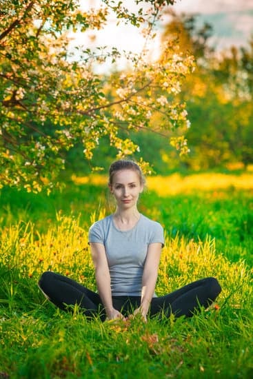 Esperienze di benessere uniche con recensioni positive per lo yoga a Tuscolana